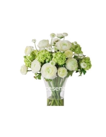 Bouquet di tulipani bianchi