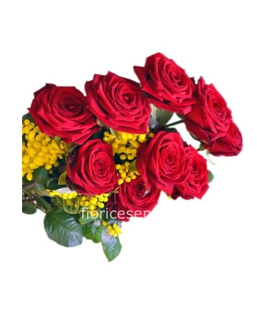 Rose rosse con mimosa