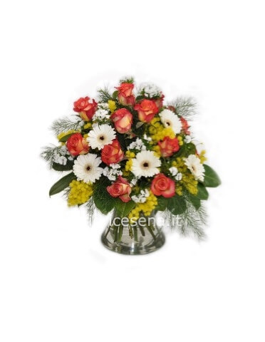 Festa della Donna cod.24