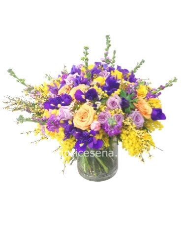 Festa della Donna cod. 8