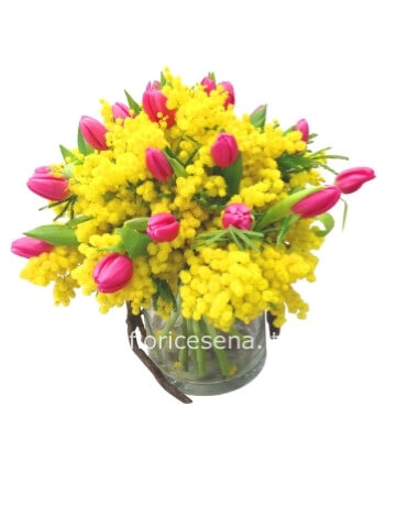 Festa della Donna cod. 9