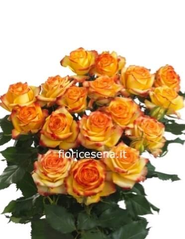 Rose arancio misura media 60 cm