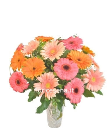 Bouquet di gerbere
