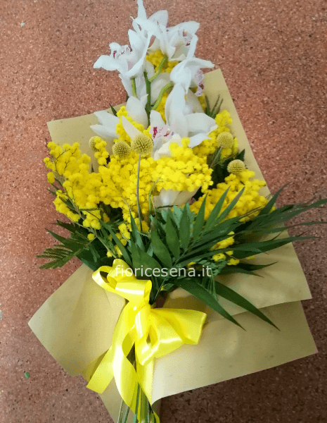 Orchidea con mimosa